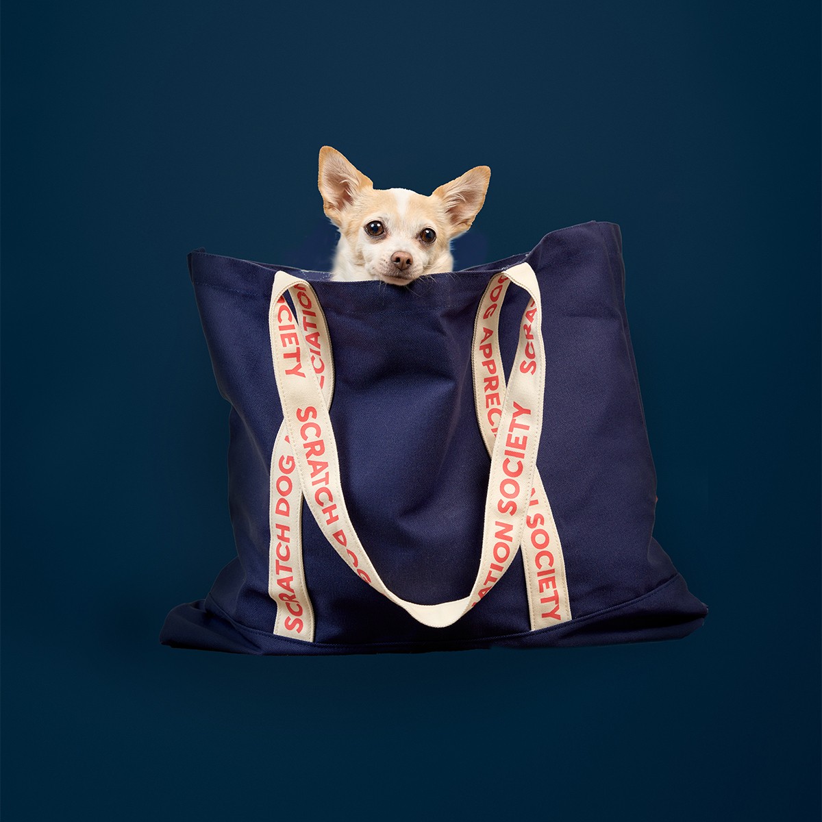 Dog tote bag
